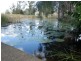 16 Conway Court, Glastonbury QLD 4570