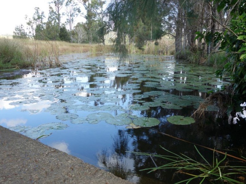 16 Conway Court, Glastonbury QLD 4570