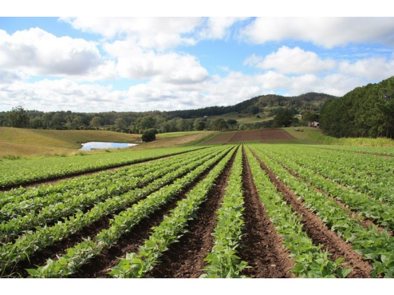 132 Wilsons Pocket Road, Wilsons Pocket QLD 4570