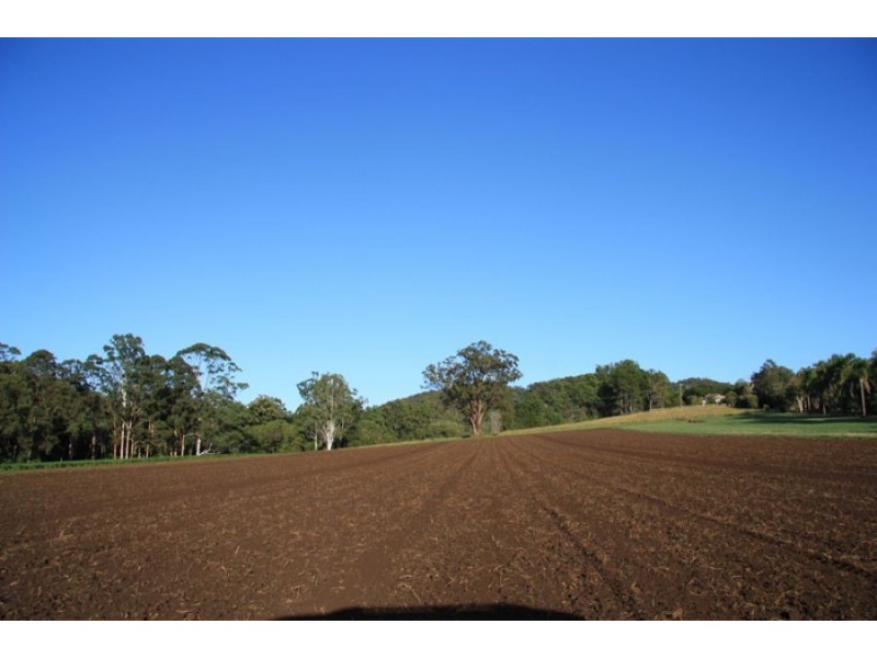 132 Wilsons Pocket Road, Wilsons Pocket QLD 4570