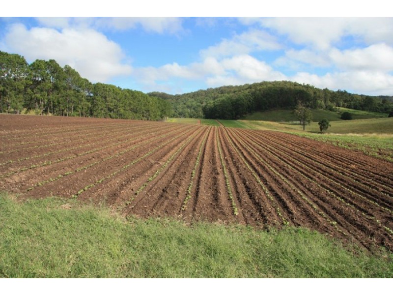 132 Wilsons Pocket Road, Wilsons Pocket QLD 4570