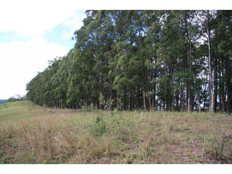 132 Wilsons Pocket Road, Wilsons Pocket QLD 4570