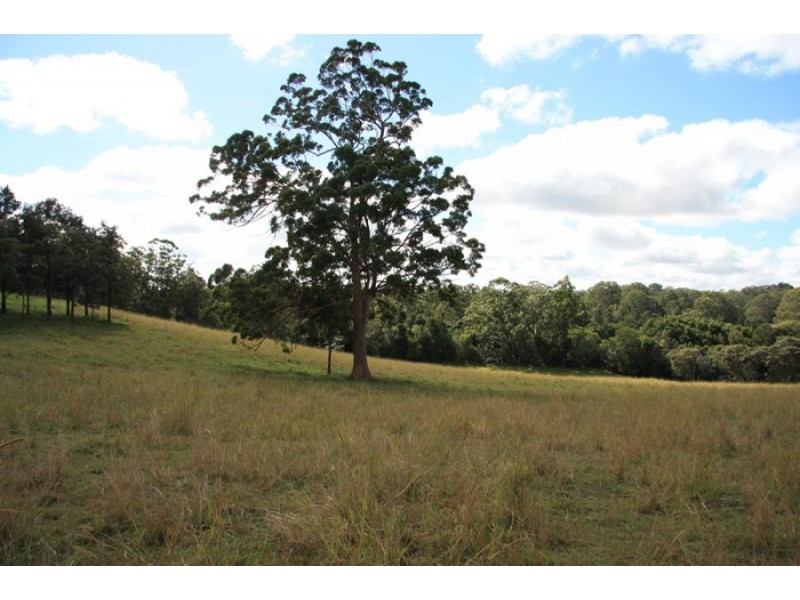 132 Wilsons Pocket Road, Wilsons Pocket QLD 4570