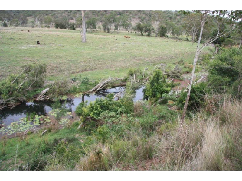 Cinnabar QLD 4600