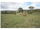 Cinnabar QLD 4600