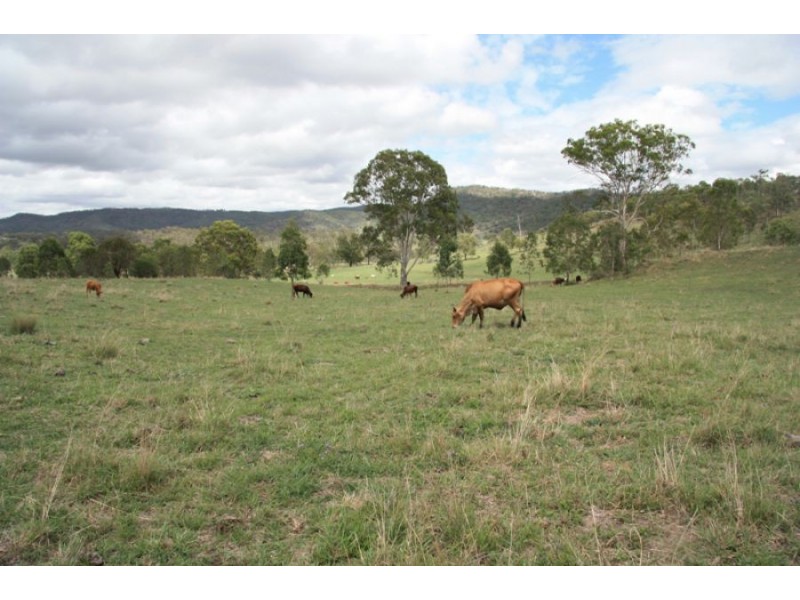 Cinnabar QLD 4600