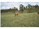 Cinnabar QLD 4600