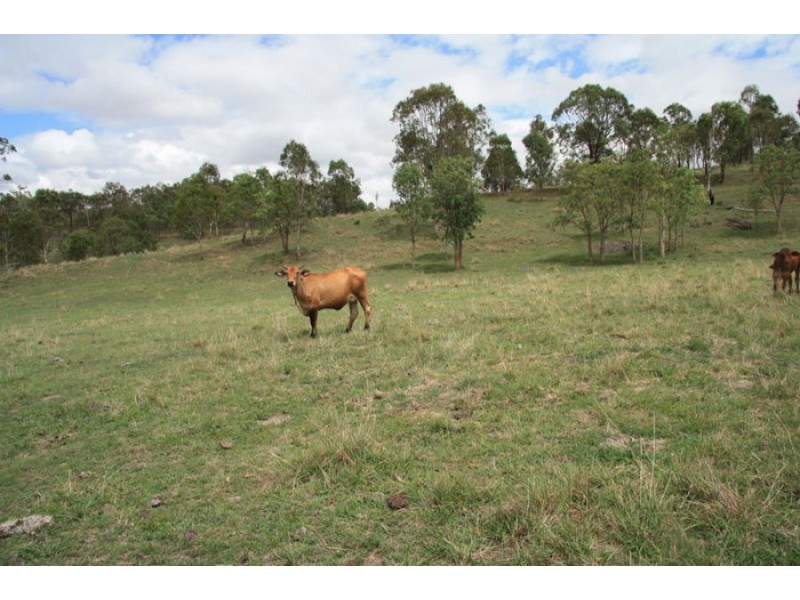 Cinnabar QLD 4600