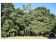 Kanigan QLD 4570