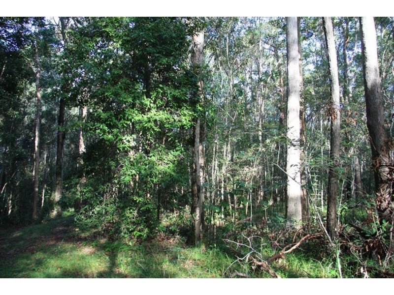 Talegalla Weir QLD 4650