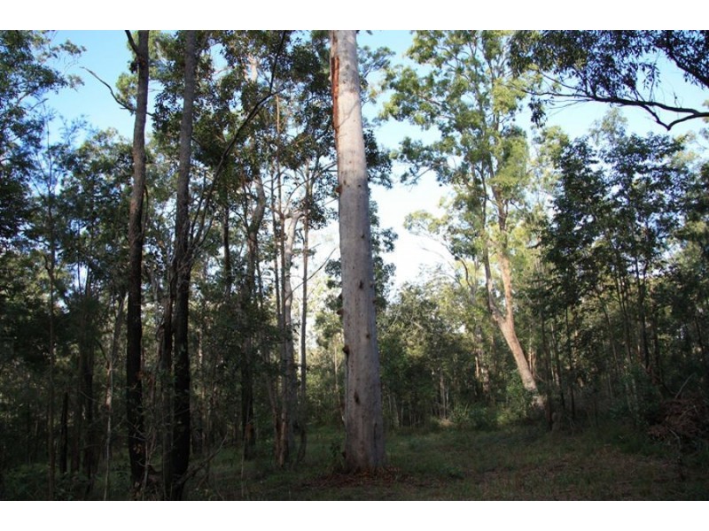 Talegalla Weir QLD 4650