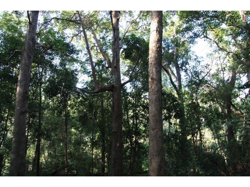 Talegalla Weir QLD 4650