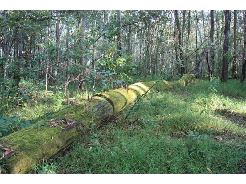 Talegalla Weir QLD 4650