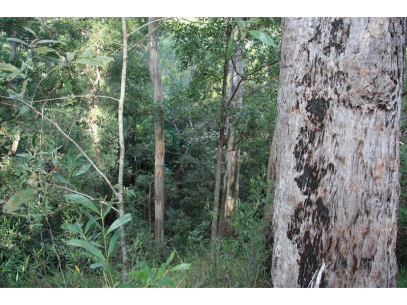 Talegalla Weir QLD 4650