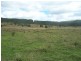 Wolvi QLD 4570