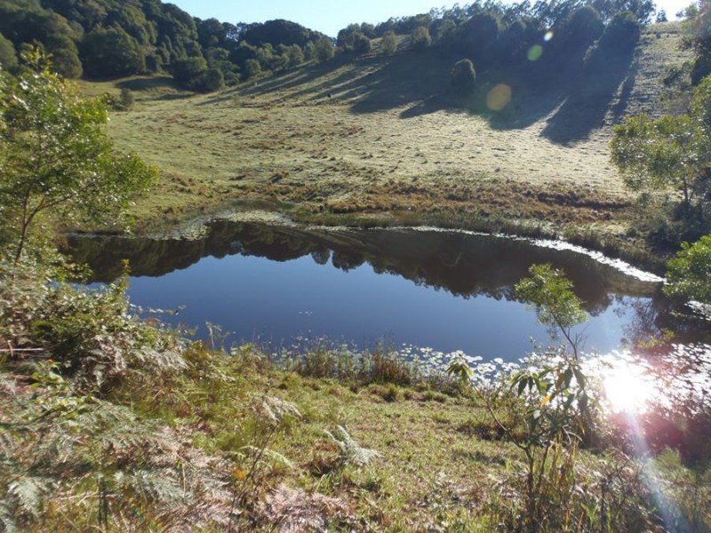 216 Western Branch Road, Kin Kin QLD 4571