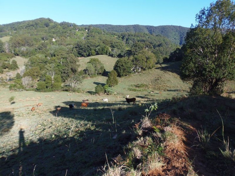 216 Western Branch Road, Kin Kin QLD 4571