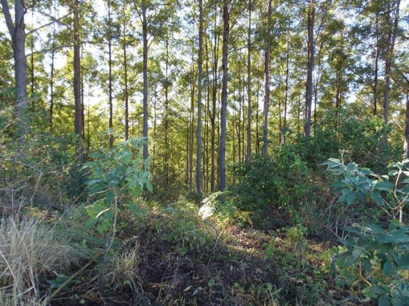 216 Western Branch Road, Kin Kin QLD 4571