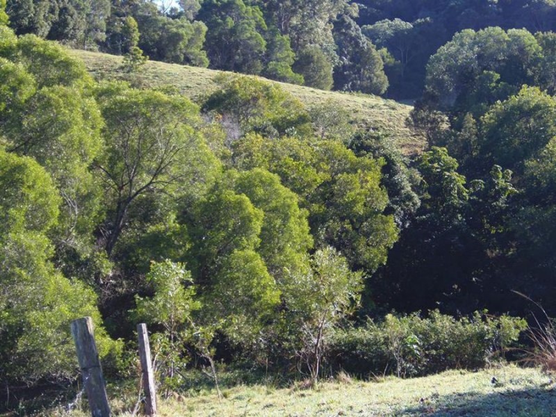 216 Western Branch Road, Kin Kin QLD 4571