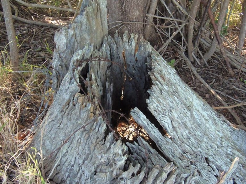 216 Western Branch Road, Kin Kin QLD 4571