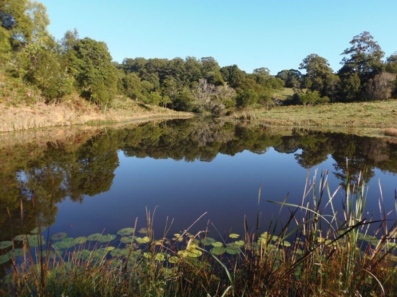 216 Western Branch Road, Kin Kin QLD 4571