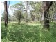 25 Oil Seeds Road, Memerambi QLD 4610