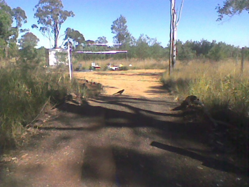 25 Oil Seeds Road, Memerambi QLD 4610