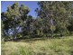 Wolvi QLD 4570