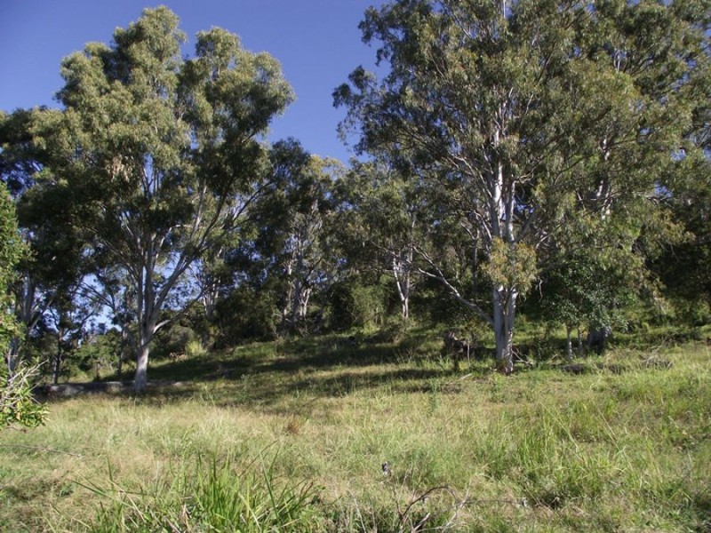 Wolvi QLD 4570