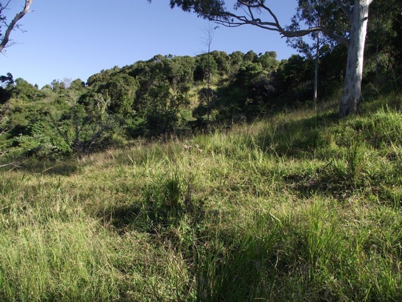 Wolvi QLD 4570