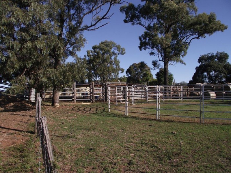 Glenrock QLD 4605