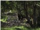 Wolvi QLD 4570