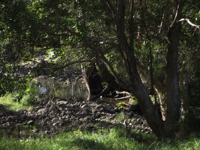 Wolvi QLD 4570