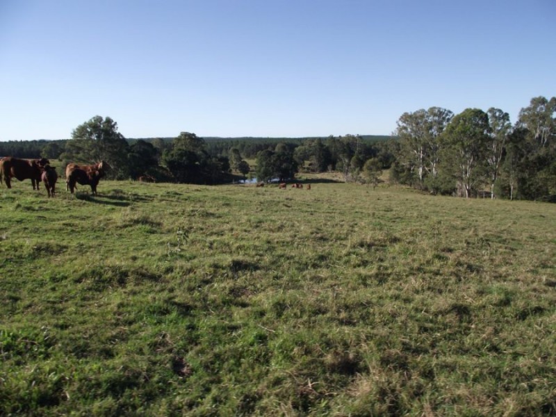 Wolvi QLD 4570