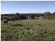 Wolvi QLD 4570