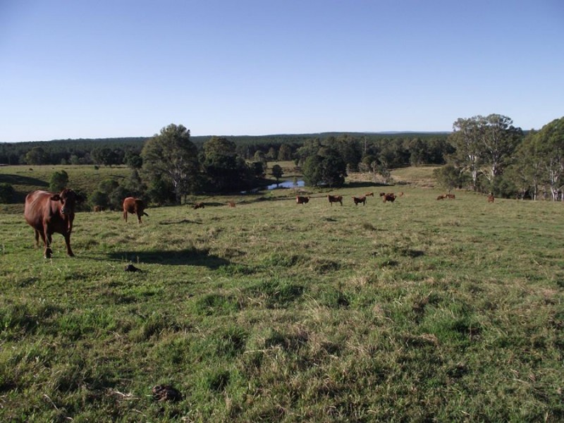 Wolvi QLD 4570
