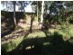 Wolvi QLD 4570
