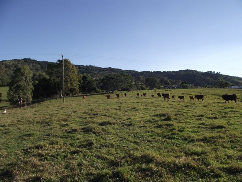 Wolvi QLD 4570