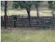 Tansey QLD 4601