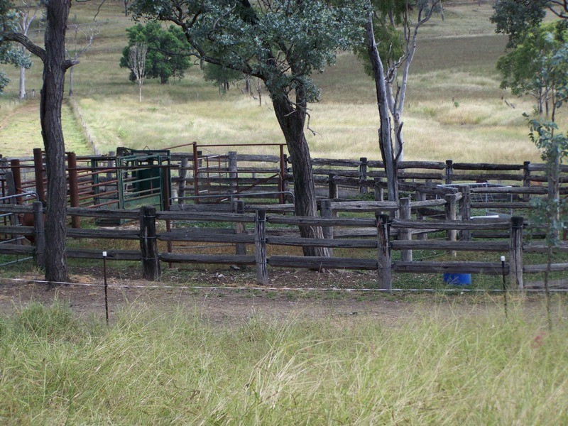 Tansey QLD 4601