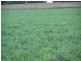 Tansey QLD 4601