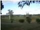 Tansey QLD 4601