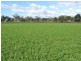 Tansey QLD 4601