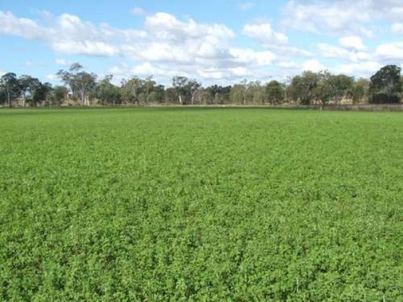 Tansey QLD 4601