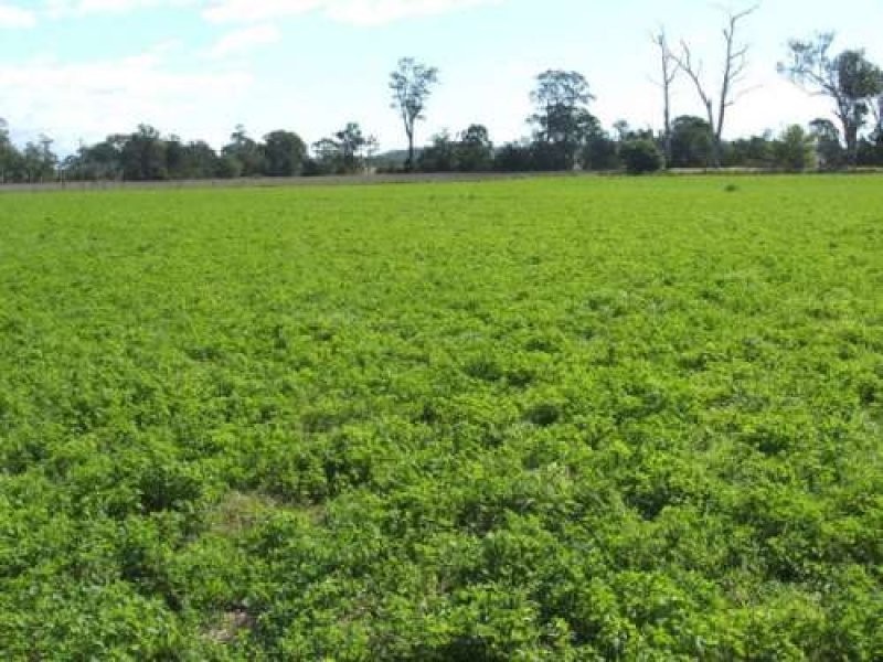 Tansey QLD 4601