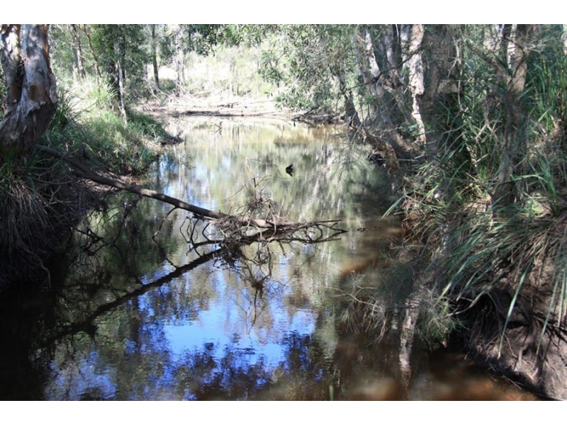 Gootchie QLD 4650