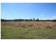 Gootchie QLD 4650