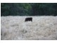 Chatsworth QLD 4570
