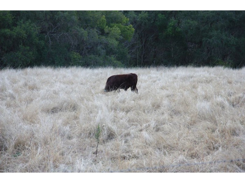 Chatsworth QLD 4570