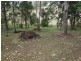 76 Sutton Street, Brooloo QLD 4570
